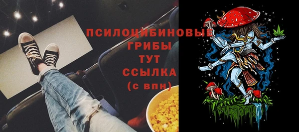 PSILOCYBIN Новокубанск